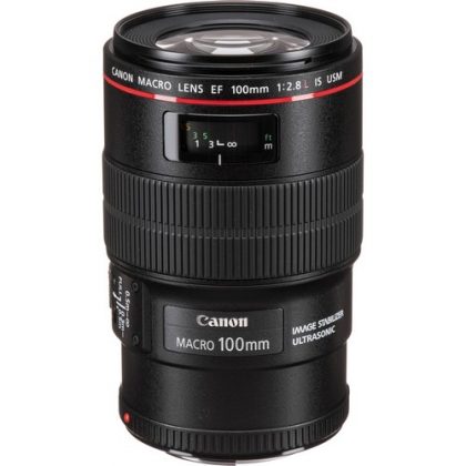 Canon EF 100 2.8 L IS USM Macro 1 1